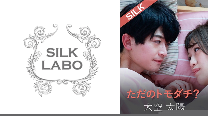 220SILKS-104 ただのトモダチ？